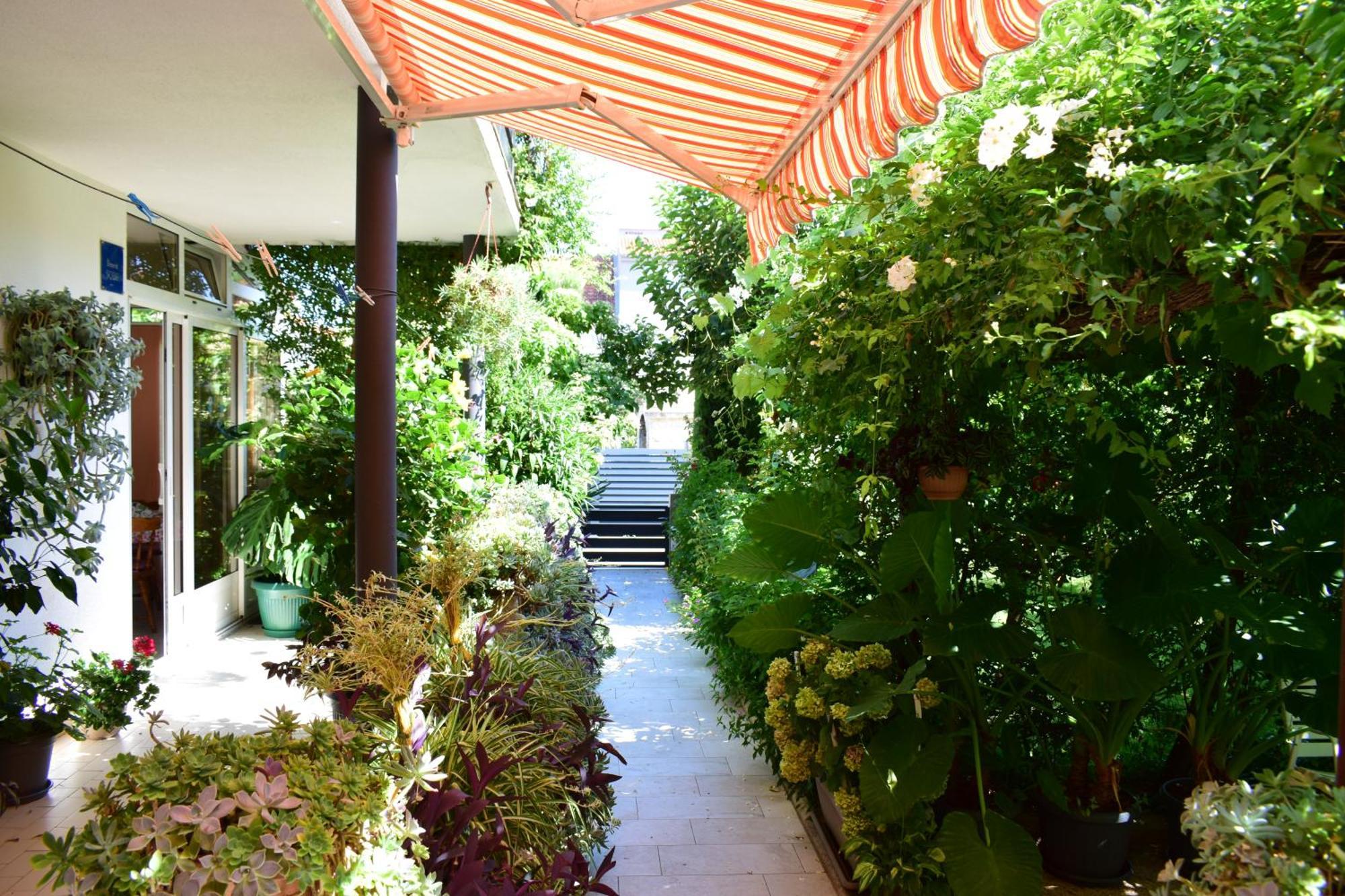 Rooms Vila Mautner Vodice Eksteriør billede