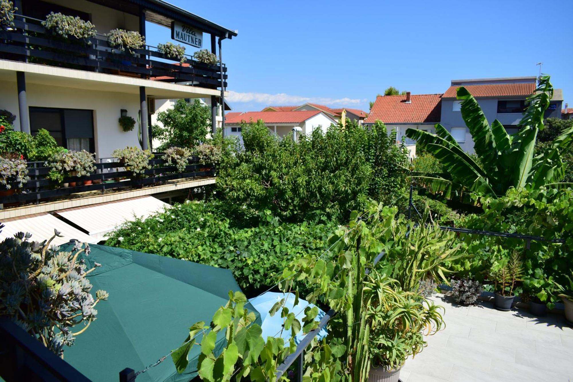 Rooms Vila Mautner Vodice Eksteriør billede