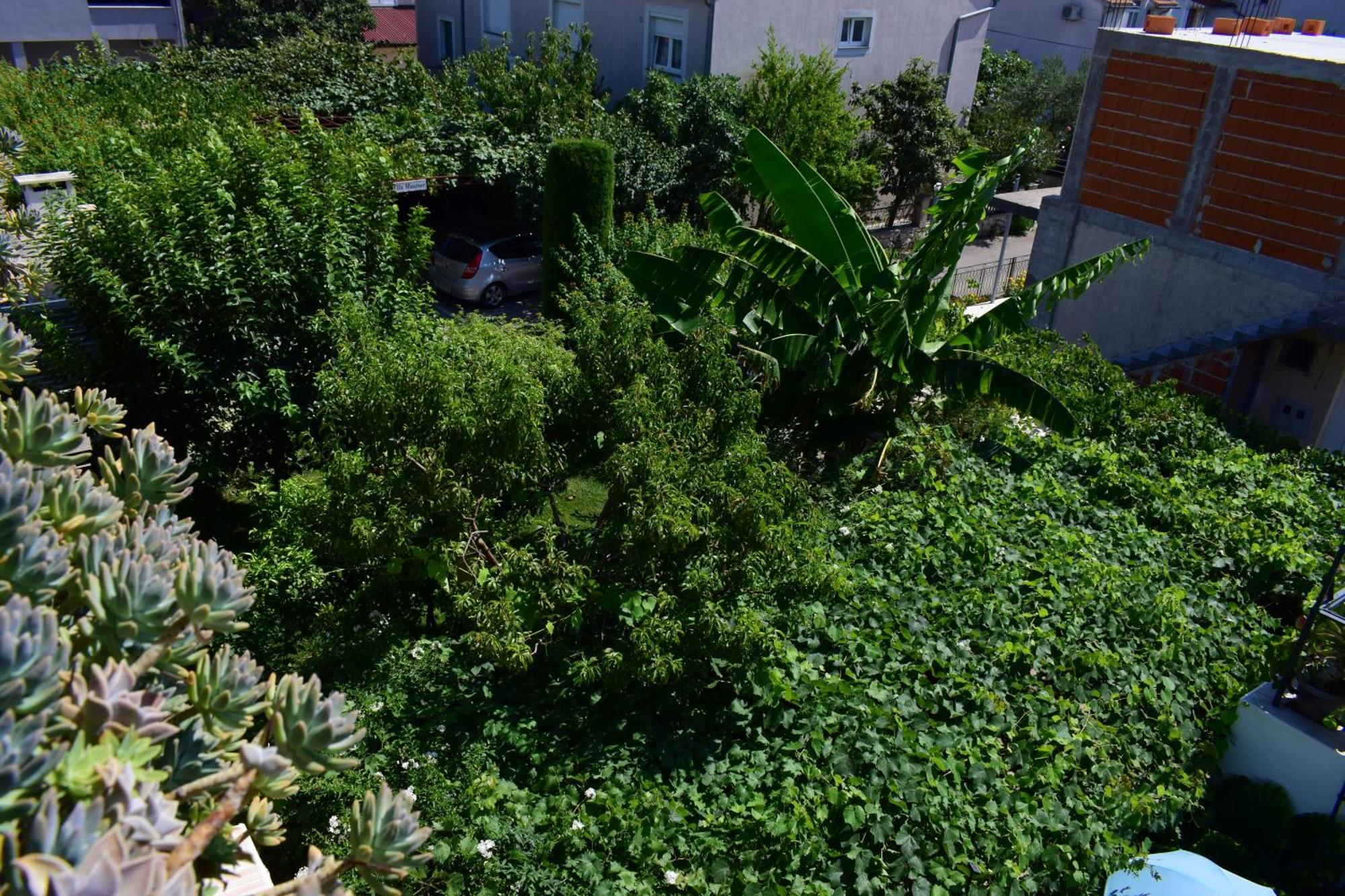 Rooms Vila Mautner Vodice Eksteriør billede